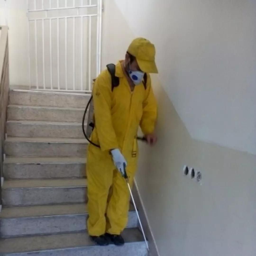 سمپاشی خانه سوسک موش ساس سم کک کنه سم پاشی موریانه|خدمات نظافت|کرج, فاز ۳ گوهردشت|دیوار