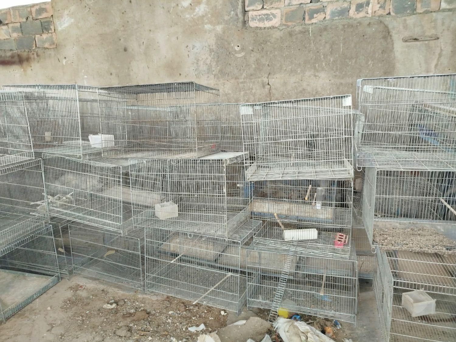 قفس قناری|لوازم جانبی حیوانات|اصفهان, ارغوانیه|دیوار