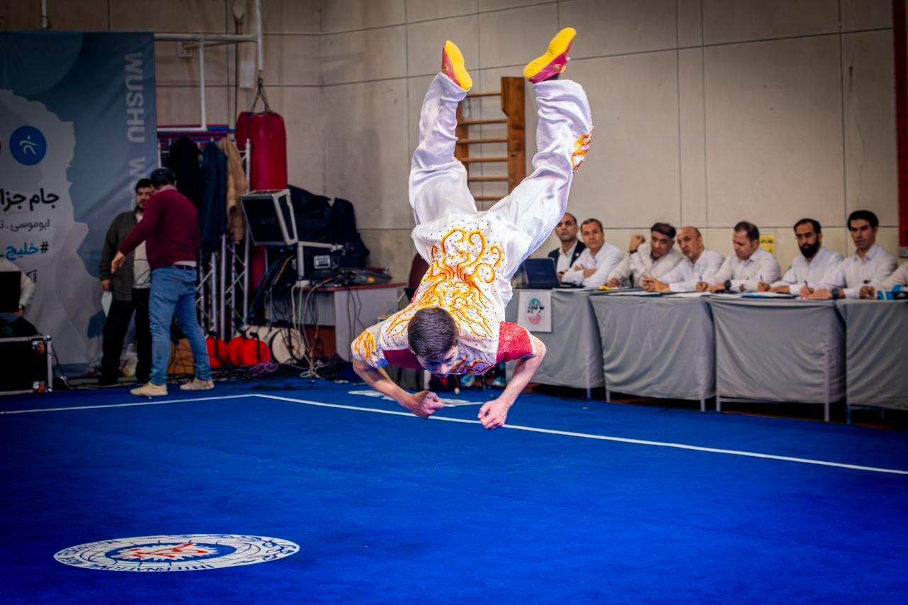 آموزش ووشو|خدمات آموزشی|قزوین, |دیوار