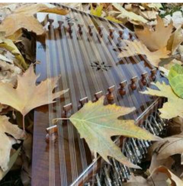 آموزش تخصصی سنتور|خدمات آموزشی|کرمانشاه, |دیوار