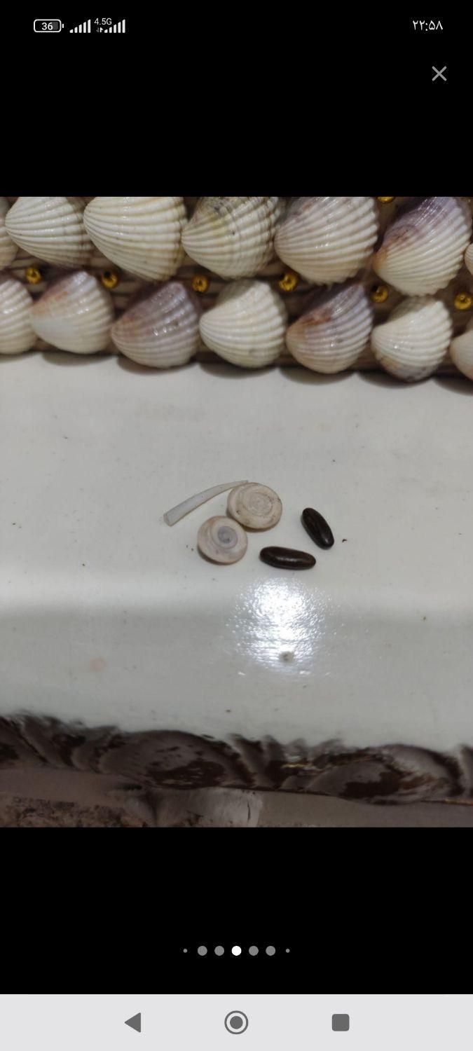 انواع مهره اصلی۱|زیورآلات و اکسسوری|ایلام, |دیوار