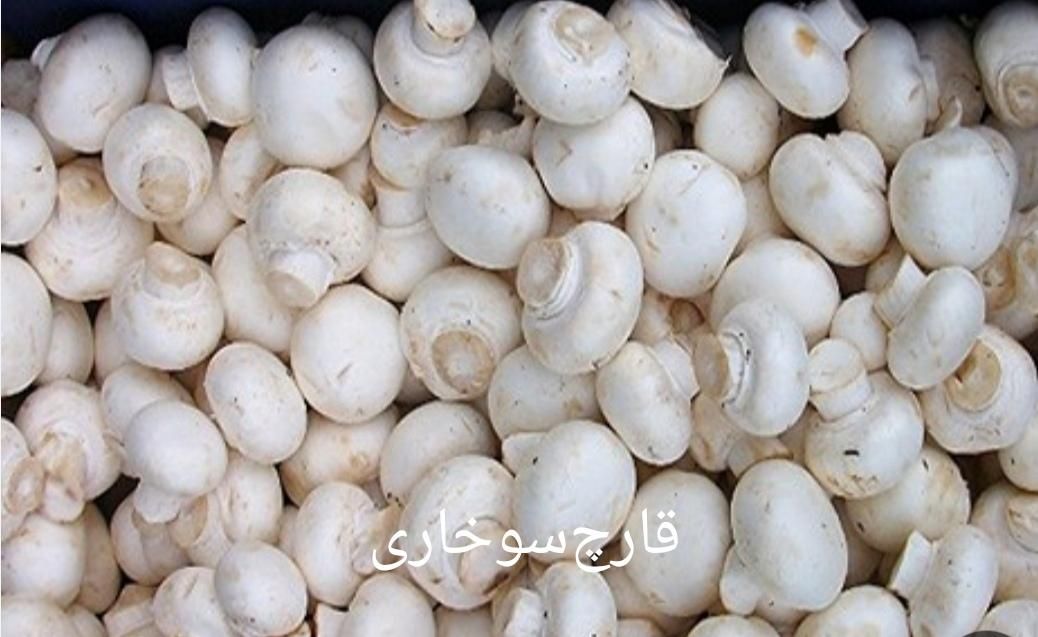 قارچ اسلایس ،فله ،سوخاری ،بلنچ|خوردنی و آشامیدنی|تهران, تهرانپارس جنوبی|دیوار