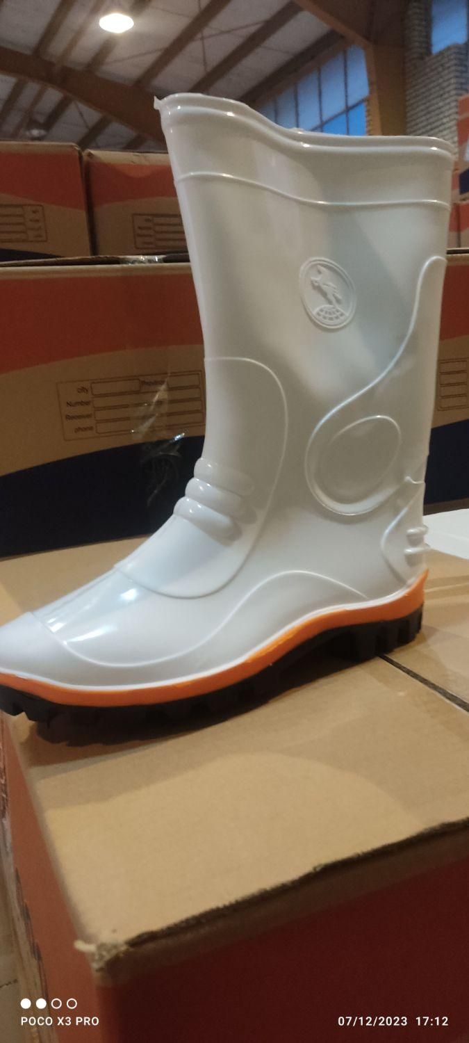 چکمه مواد کهنه و نو|کیف، کفش، کمربند|قم, شهر قائم|دیوار