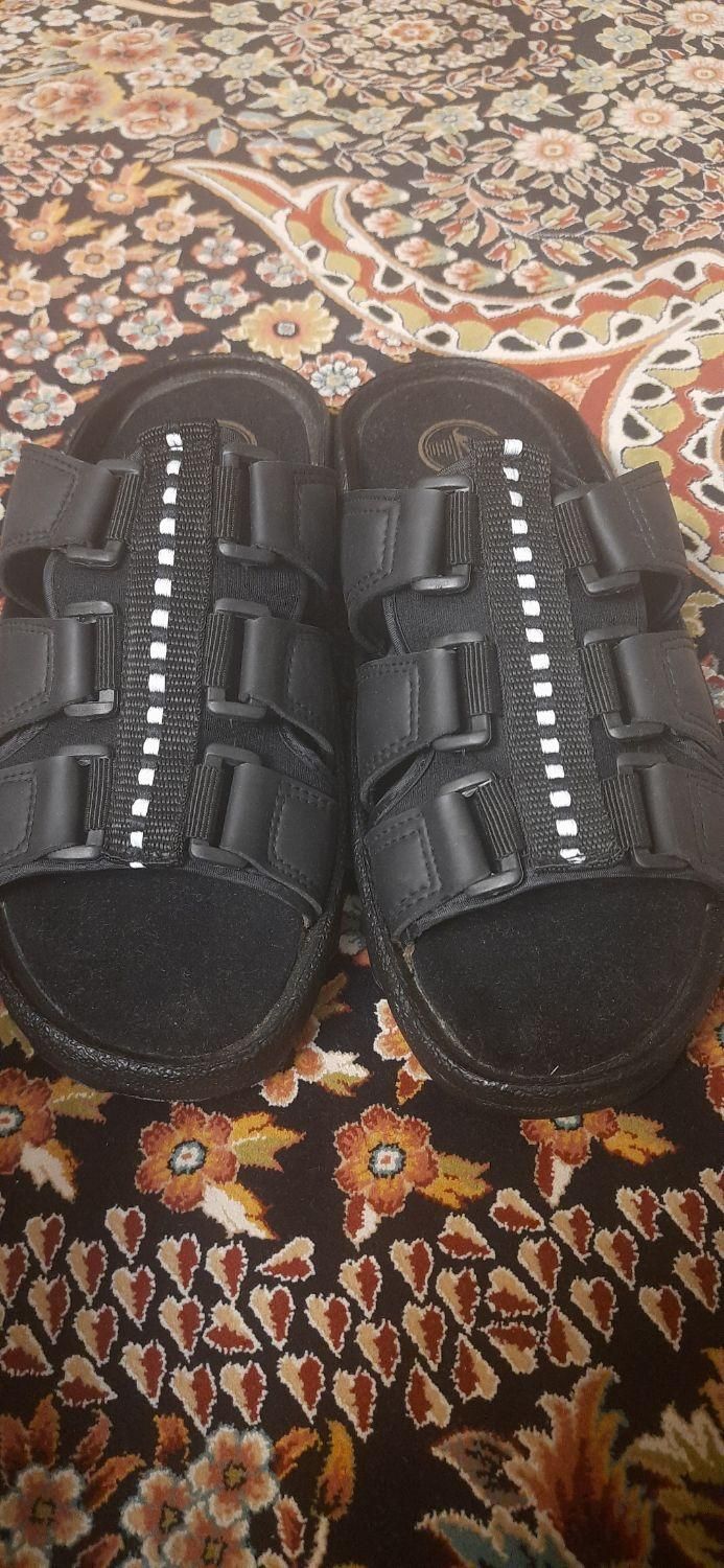 سایز  ۴۴|کیف، کفش، کمربند|شیراز, شهرک والفجر|دیوار