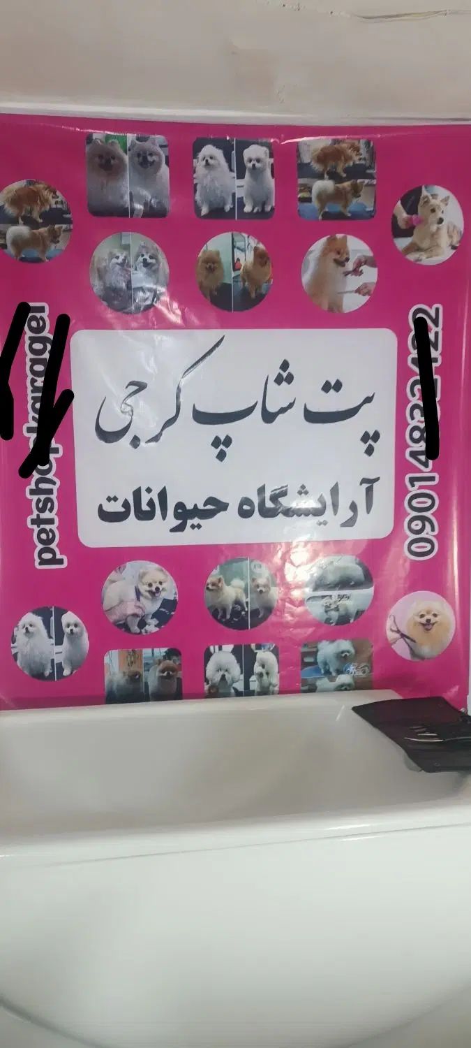 آرایشگرحیوانات نیازمندیم،استخدام آرایشگاه سگ وگربه|استخدام درمانی، زیبایی، بهداشتی|قدس, شهر‌قدس|دیوار