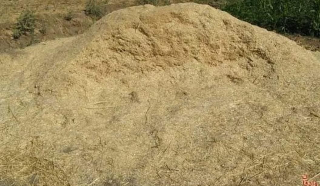 کاه گندم|لوازم جانبی حیوانات|کوهدشت, |دیوار