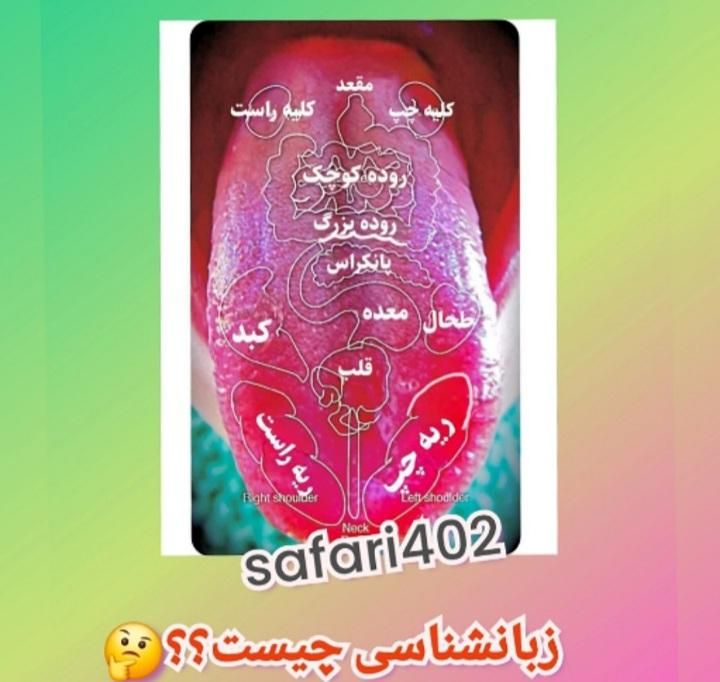 درمان وتسریع در کاهش وزن|آرایشی، بهداشتی، درمانی|مشهد, آبکوه|دیوار