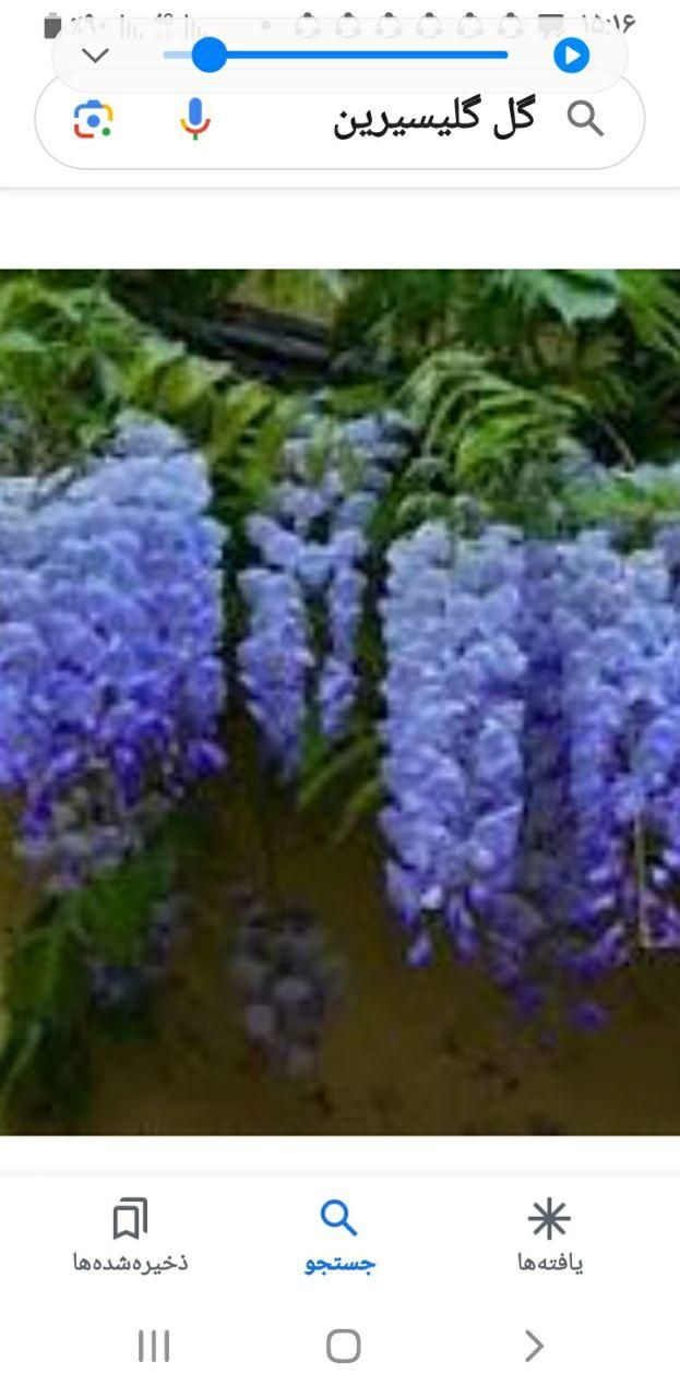 خدمات باغبانی|خدمات باغبانی و درختکاری|اصفهان, بوستان ناژوان|دیوار