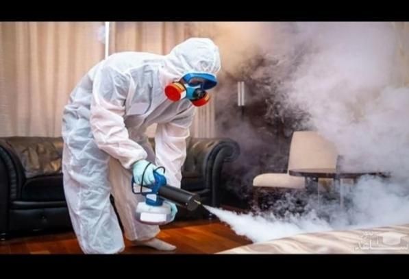 سمپاشی سوسک وساس در یک مرحله صددرصد تضمینی|خدمات نظافت|مشهد, مهدی آباد|دیوار