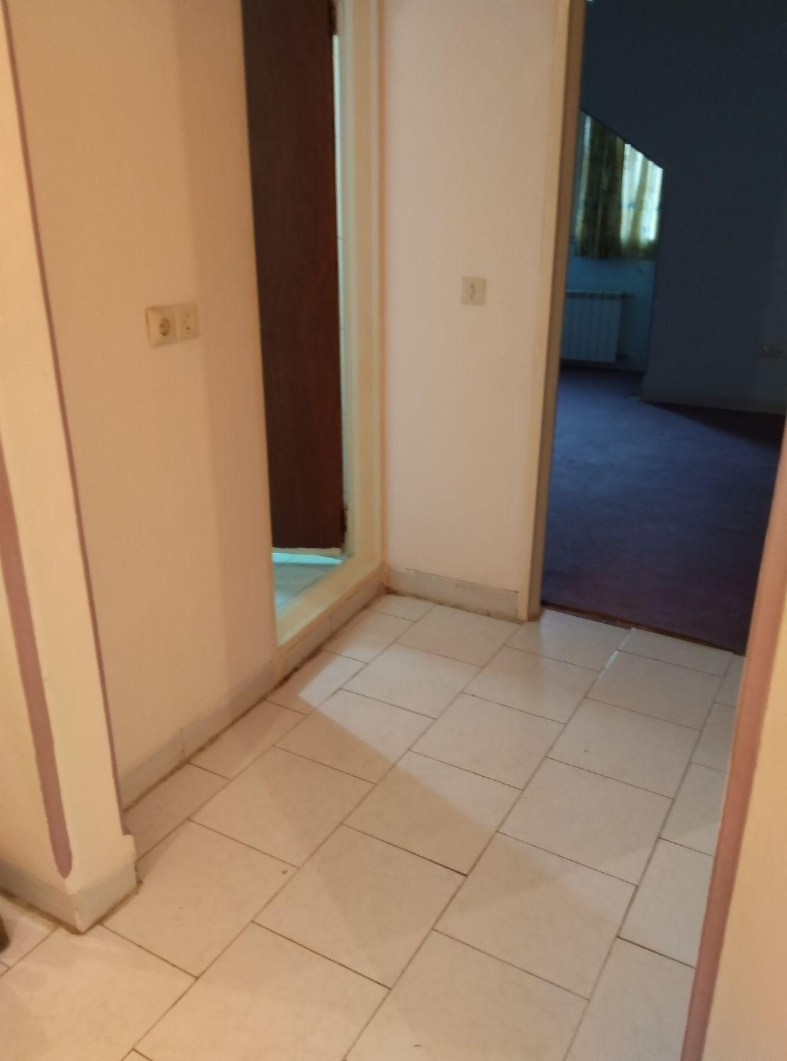 خدمات نظافتی منزل و آپارتمان تضمینی|خدمات نظافت|کرمان, |دیوار