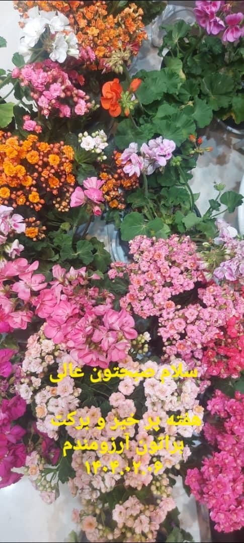 کمک از طرفداران تراکتور|گردهمایی و همایش|تبریز, |دیوار