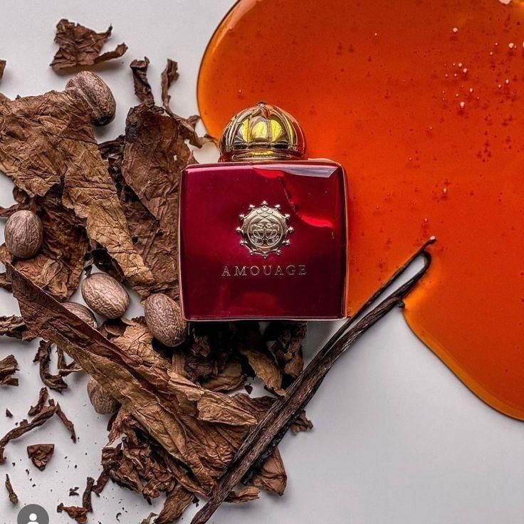 عطر و ادکلن آمواج جورنیAMOUAGE JOURNEY|آرایشی، بهداشتی، درمانی|مشهد, سعد آباد|دیوار
