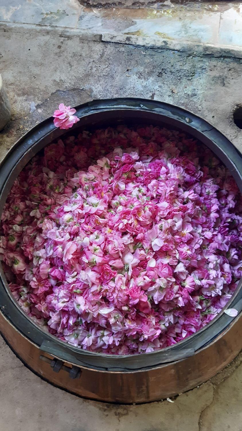 گلاب وعرقیجات طبیعی وستتی قمصرکاشان|خوردنی و آشامیدنی|تهران, جیحون|دیوار