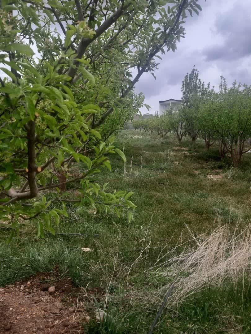 ۴۱۷مترباغ سیب با حق آب درختانبارده|فروش زمین و ملک کلنگی|آبسرد, |دیوار