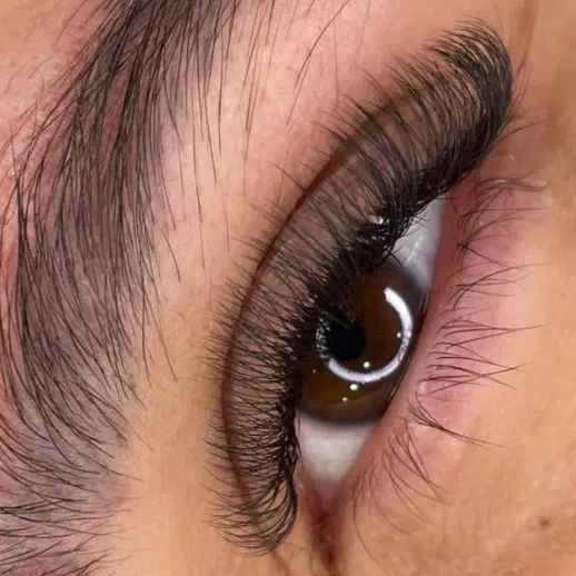مدل مژه رایگان|خدمات آرایشگری و زیبایی|رشت, پل تالشان|دیوار