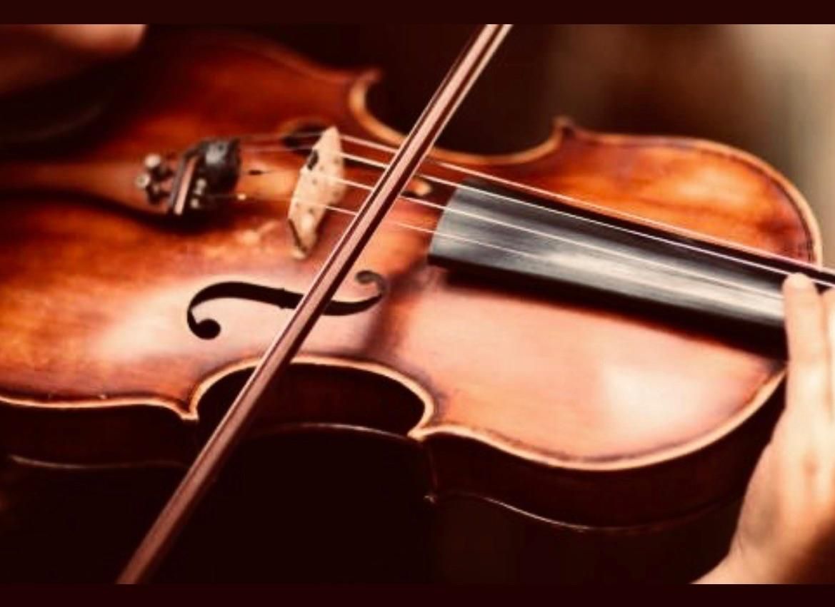 آموزش موسیقی ساز ویولن ویالون ویلن ویالون ویولون|خدمات آموزشی|شیراز, عفیفآباد|دیوار