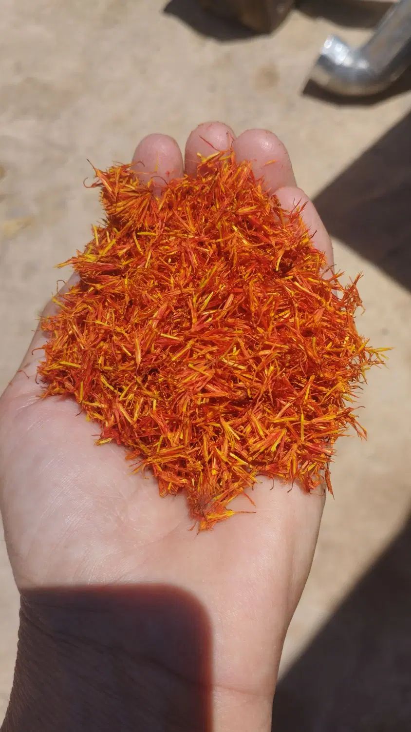 فروش گلرنگ|خوردنی و آشامیدنی|اصفهان, کنگاز|دیوار