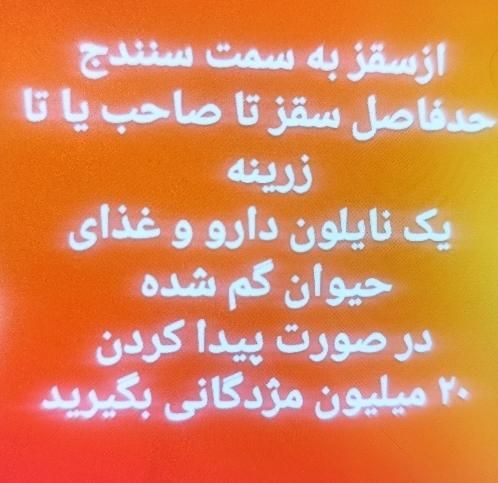 مژدگانی ۲۰ میلیونی برای داروی گم شده|اشیا|سقز, |دیوار