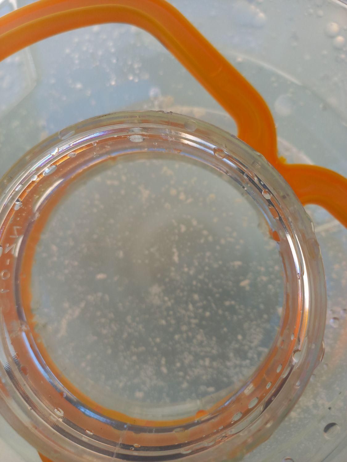 گلاب ،نعنا ،بیدمک|خوردنی و آشامیدنی|قمصر, |دیوار