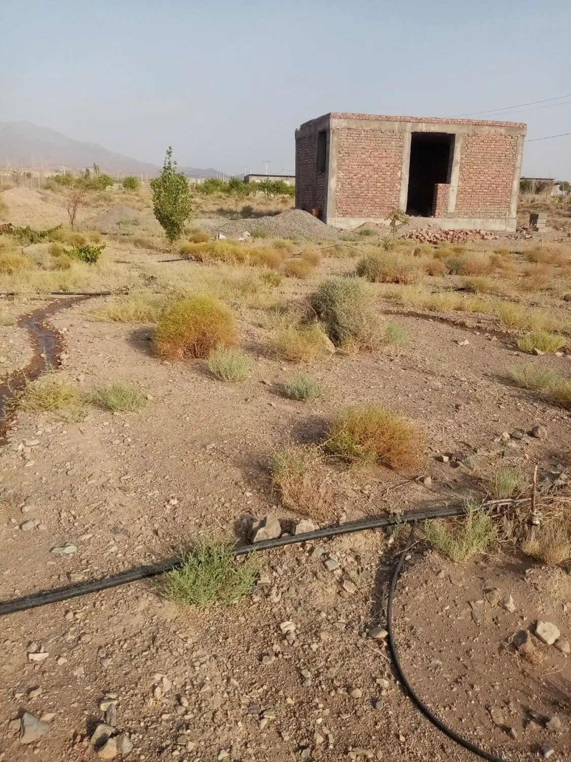 سلام زمین 200متر واقع در جاده بیدخون کیلومتر 15|فروش دفتر صنعتی، کشاورزی، تجاری|بردسیر, |دیوار