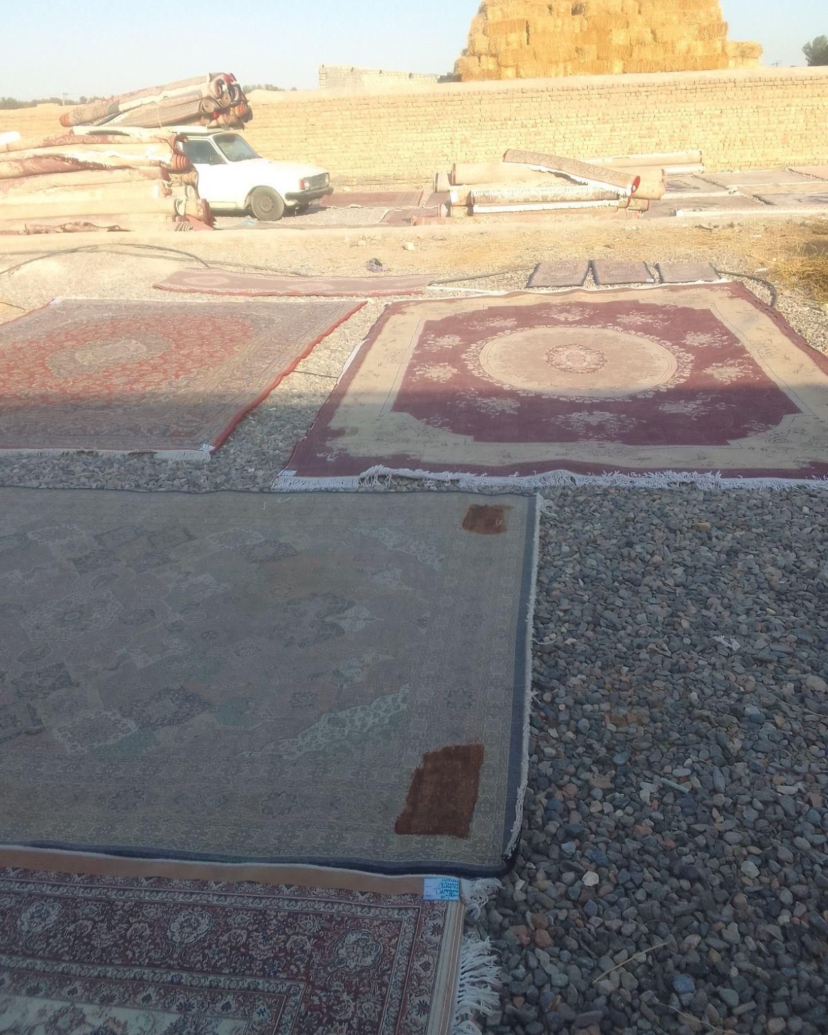 قالیشویی ومبل.شویی.مجاز ساوین.تضمینی صیدی طرق.|خدمات نظافت|مشهد, کوشش|دیوار