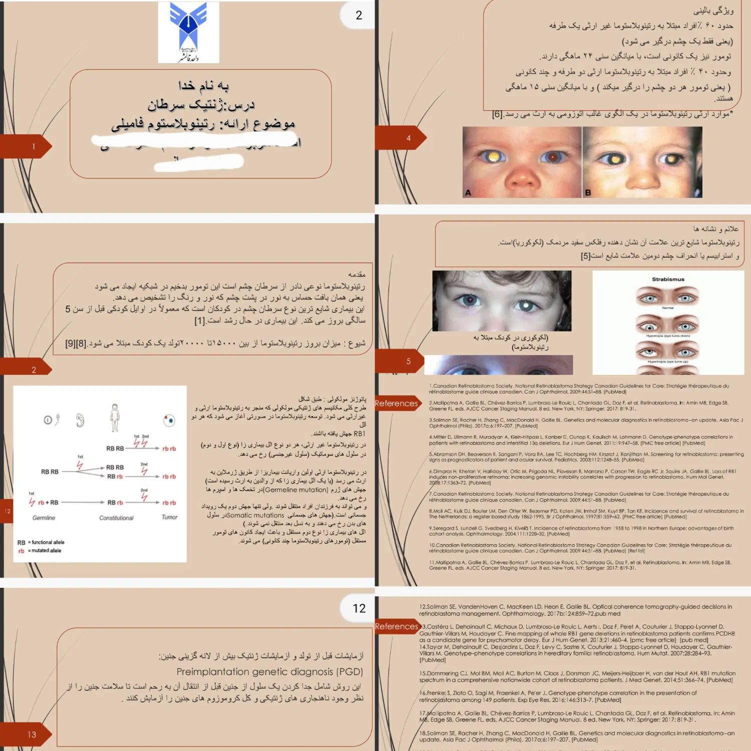 انجام پروژه‌های تحقیقاتی و پاورپوینت دانشجویی|خدمات آموزشی|ساری, |دیوار