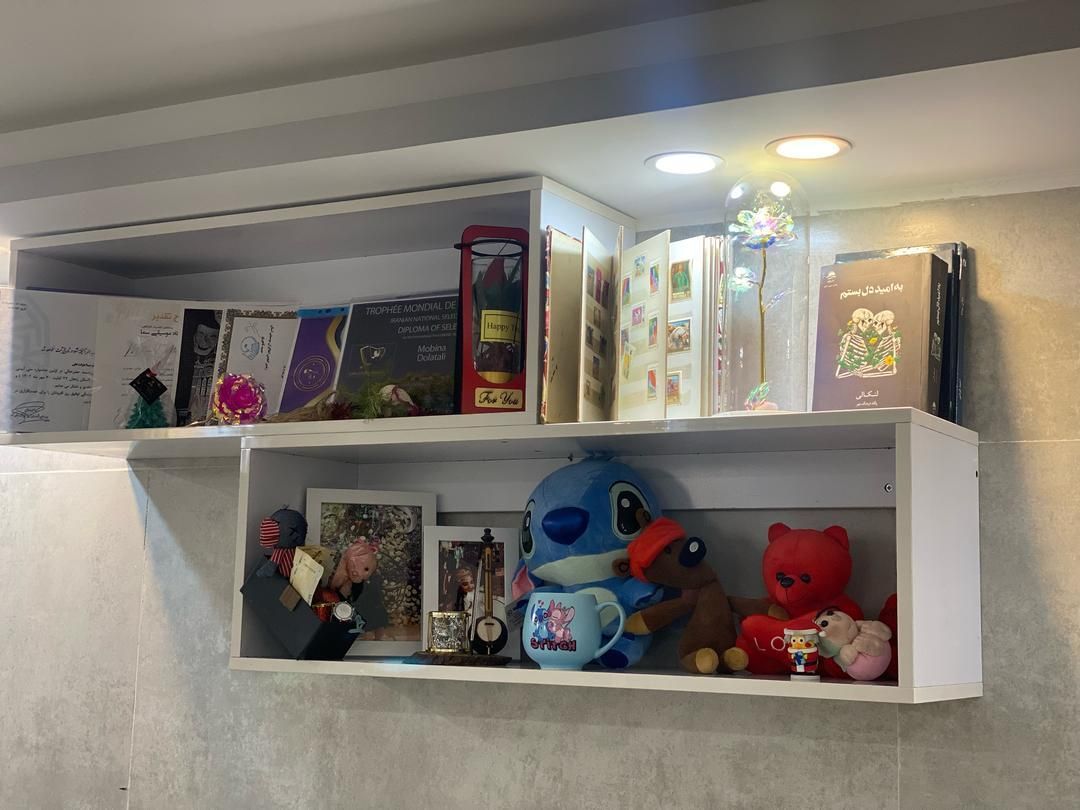 شلف دیواری و کلیه سفارشات|کتابخانه، شلف، قفسه‌های دیواری|تبریز, |دیوار