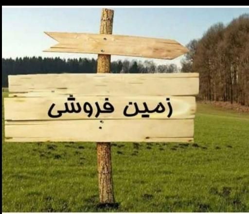 فروش زمین ۲۵۰۰ متری در محمودآباد به قیمت عالی|فروش زمین و ملک کلنگی|اصفهان, محمودآباد|دیوار