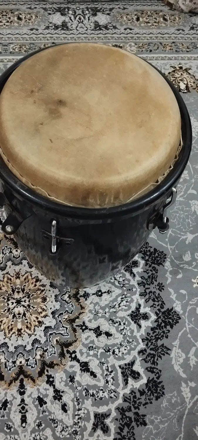 تومبا تایکون سایز ۱۱سالم بدون خطو خش   ۲۰ملیون|درام و پرکاشن|میناب, |دیوار