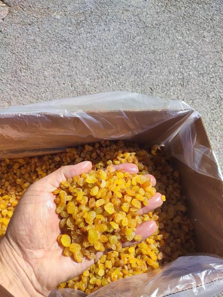 کشمش پلویی|خوردنی و آشامیدنی|ملایر, |دیوار