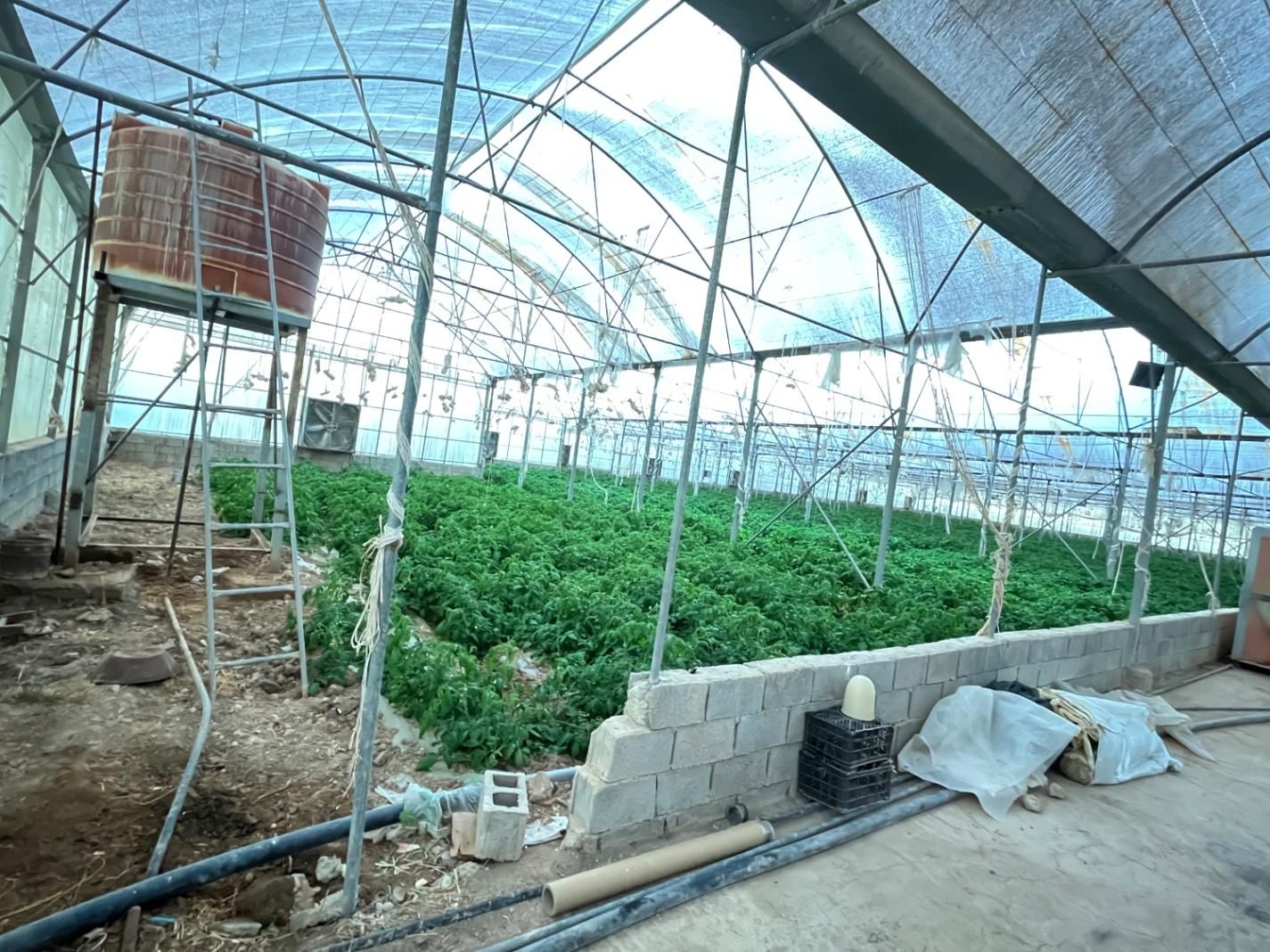 فروش و گلخانه و مرغداری|فروش دفتر صنعتی، کشاورزی، تجاری|شیراز, شهرک بهشتی|دیوار