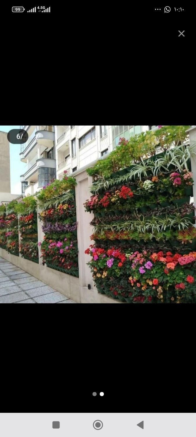 خدمات باغبانی گلکاری تعویض خاک گلدان در منزل|خدمات باغبانی و درختکاری|تهران, مرزداران|دیوار