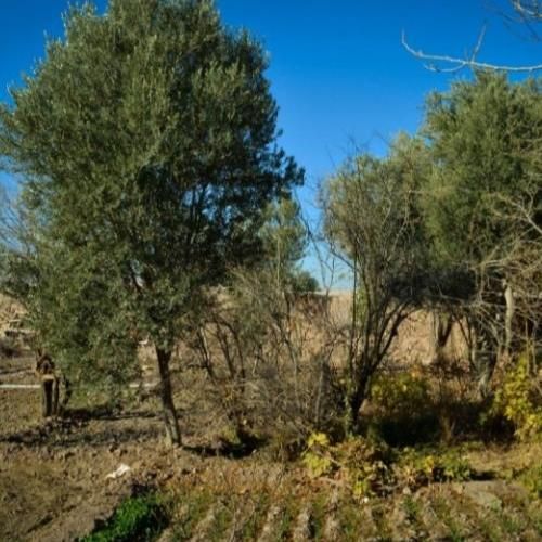 اجاره اتاق در مجموعه بومگردی با پارکینیگ اختصاصی|اجارهٔ کوتاهمدت آپارتمان و سوئیت|گرمسار, |دیوار