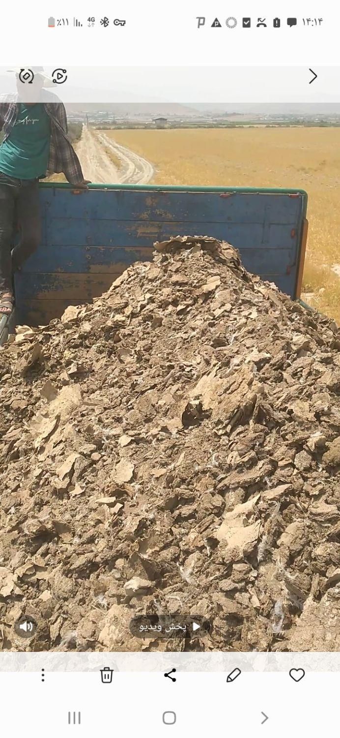 کود.کودمرغ.کودگاو.کودگوسفند.کودمرغی|خدمات باغبانی و درختکاری|شیراز, شهرک گلستان|دیوار