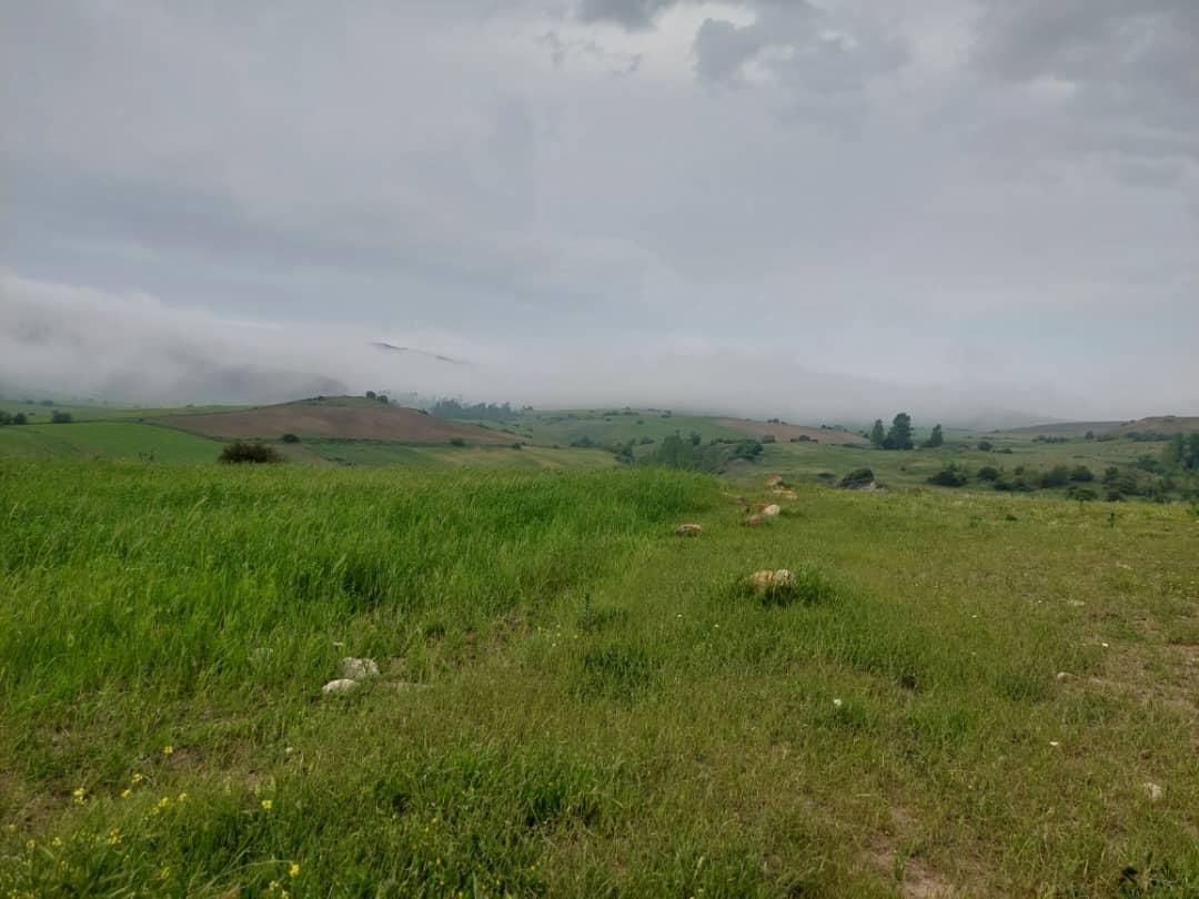 زمین مسکونی، کشاورزی،باغی،روستای آسیابر|فروش زمین و ملک کلنگی|دیلمان, |دیوار