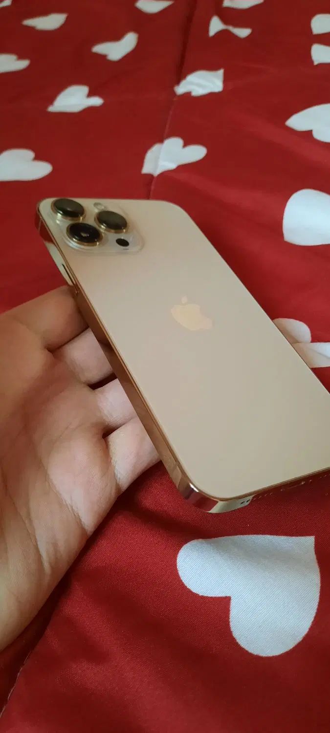 اپل iPhone 13 Pro Max با حافظهٔ ۲۵۶ گیگابایت|موبایل|تهران, وردآورد|دیوار