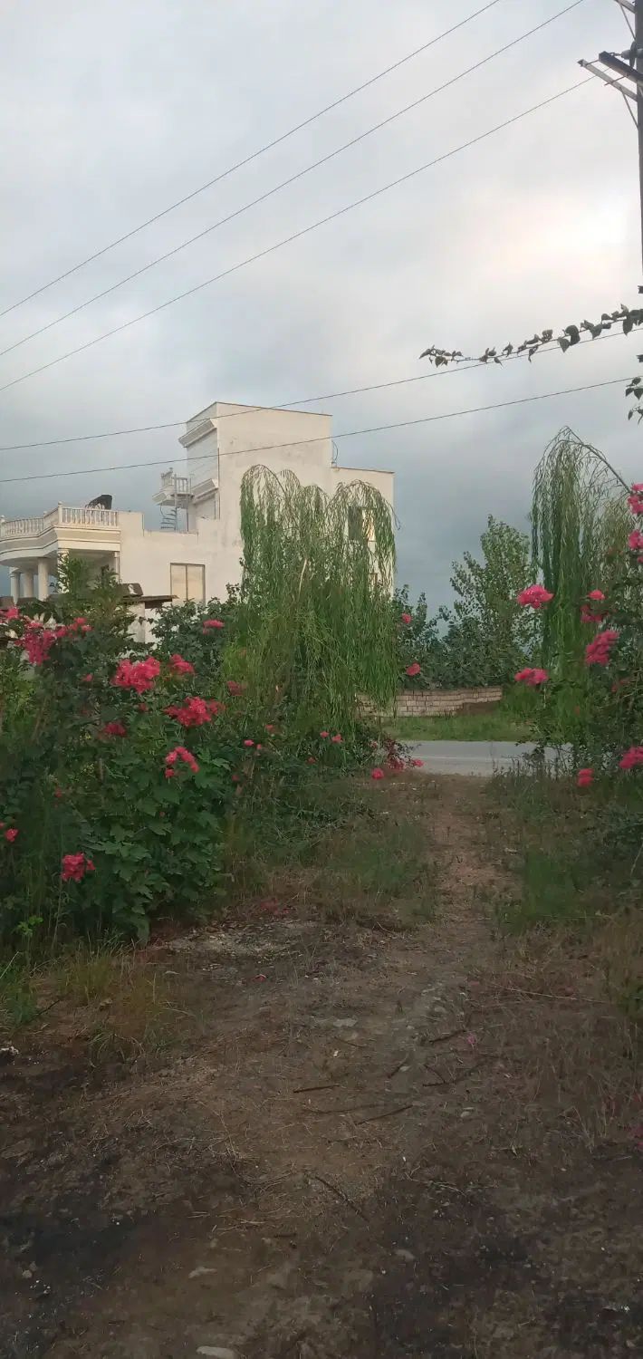 ویلا نیمه کاره بافت مسکونی پروانه ساخت  460 m زمین|فروش خانه و ویلا|دابودشت, |دیوار