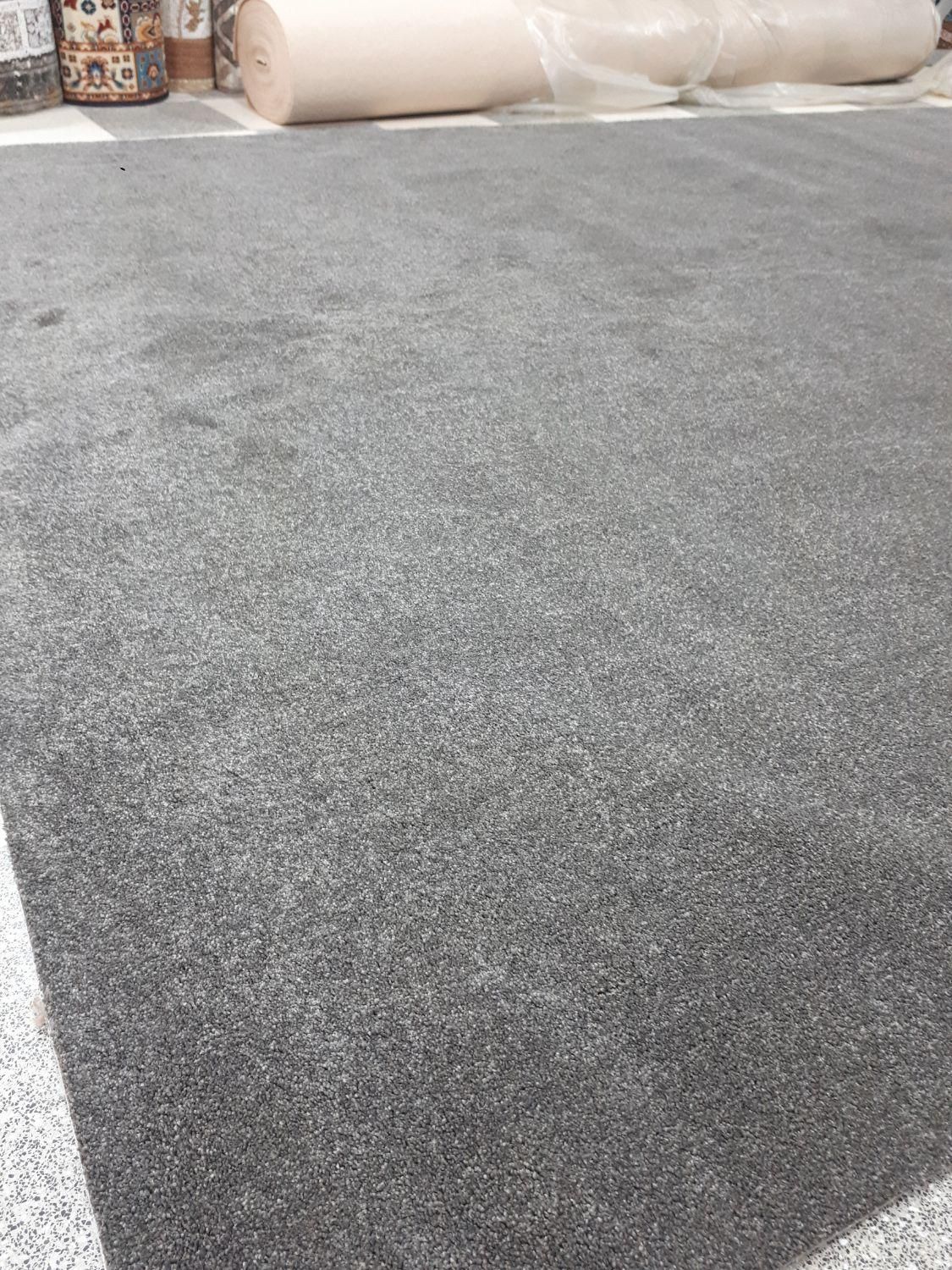 موکت پرزبلندیا تافتینگ باکیفیت ونو|موکت|رشت, کوی عرفان|دیوار