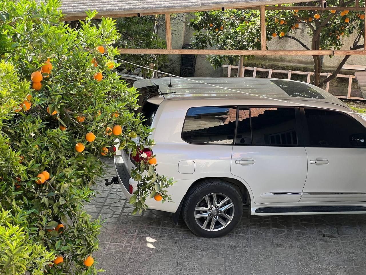 سوئیت ویلایی|اجارهٔ کوتاهمدت آپارتمان و سوئیت|گلوگاه, |دیوار