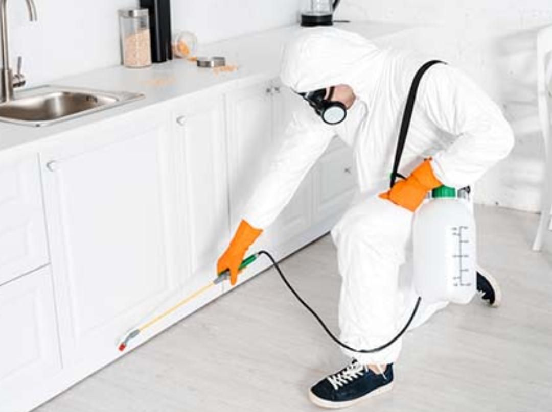 سمپاشی منازل مسکونی|خدمات نظافت|خورموج, |دیوار