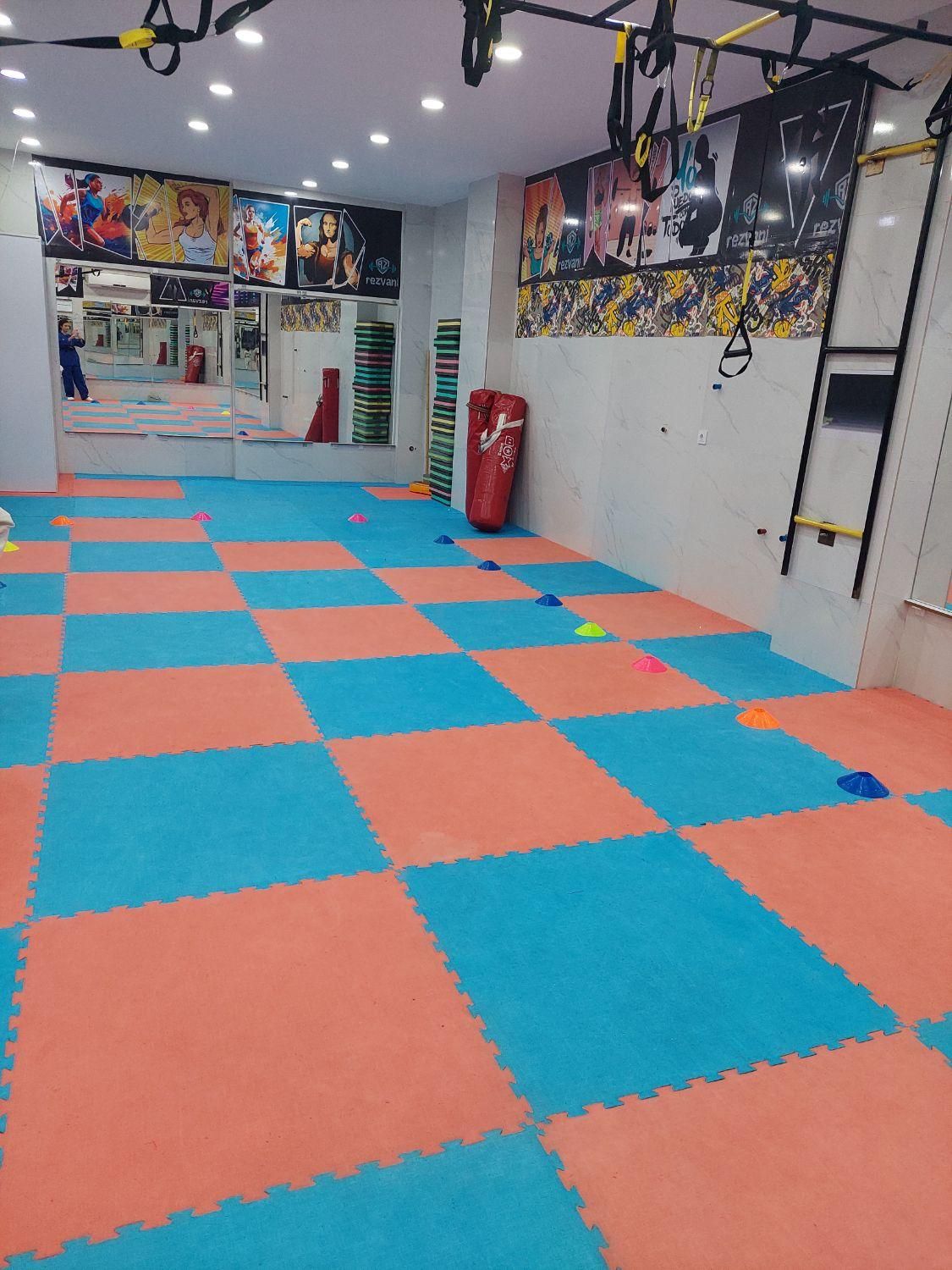 آموزش ورزش المپیکی تکواندو بانوان|خدمات آموزشی|شیراز, شهرک مدرس|دیوار