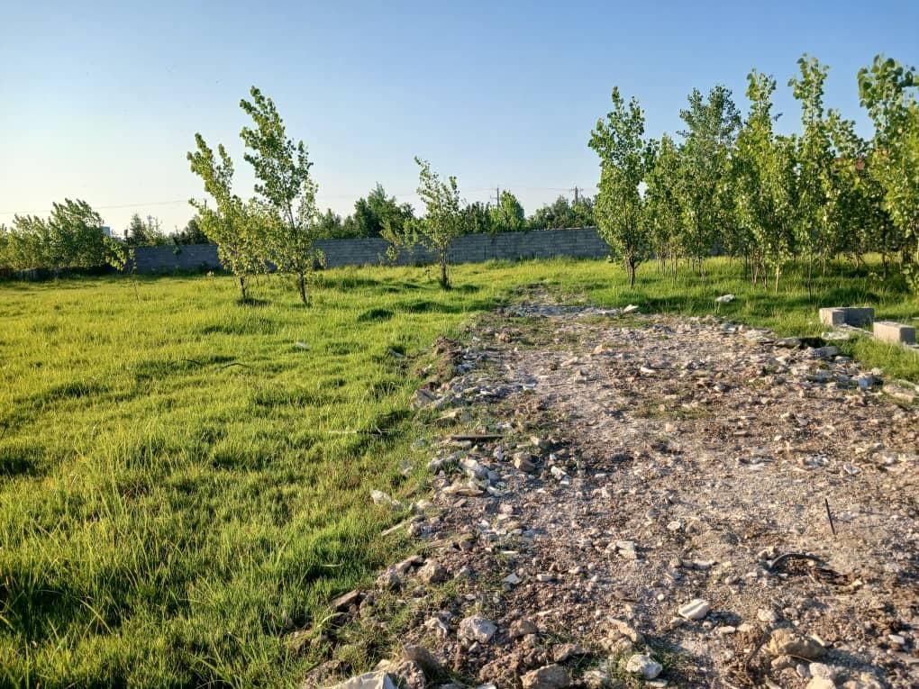 فروش یک قطعه زمین  مسکونی|فروش زمین و ملک کلنگی|رشت, سیا اسطلخ|دیوار