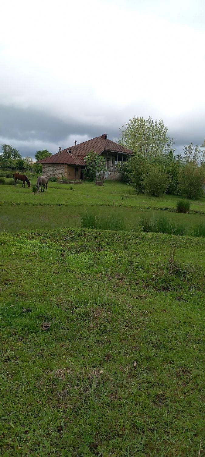 زمین تمام مسکونی تمام رویایی از املاک ابوالفضل|فروش زمین و ملک کلنگی|لاهیجان, کوی خزر|دیوار