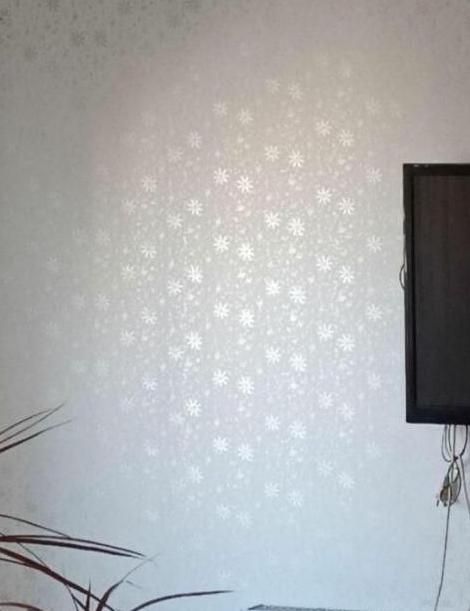 نقاش ساختمان رنگ آمیزی ساختمان طرح کاغذ دیواری|خدمات پیشه و مهارت|مشهد, کوی سیدی|دیوار