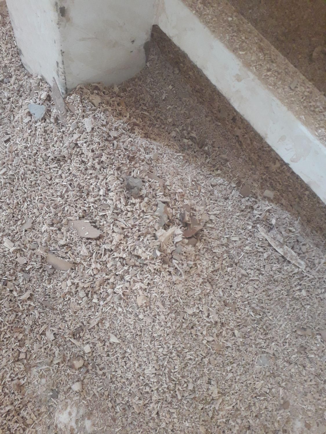 خاک اره خشک خشک و خورده چوپ چنار زغالی|عمده‌فروشی|آفتاب, |دیوار