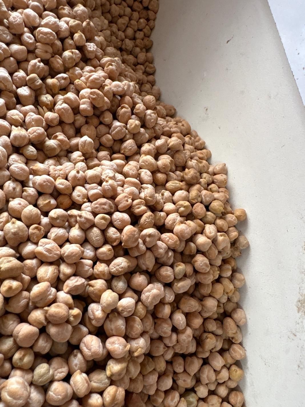 پخش حبوبات عمده ب (مستقیم از کشاورز خرید کنید)|خوردنی و آشامیدنی|رشت, منظریه|دیوار