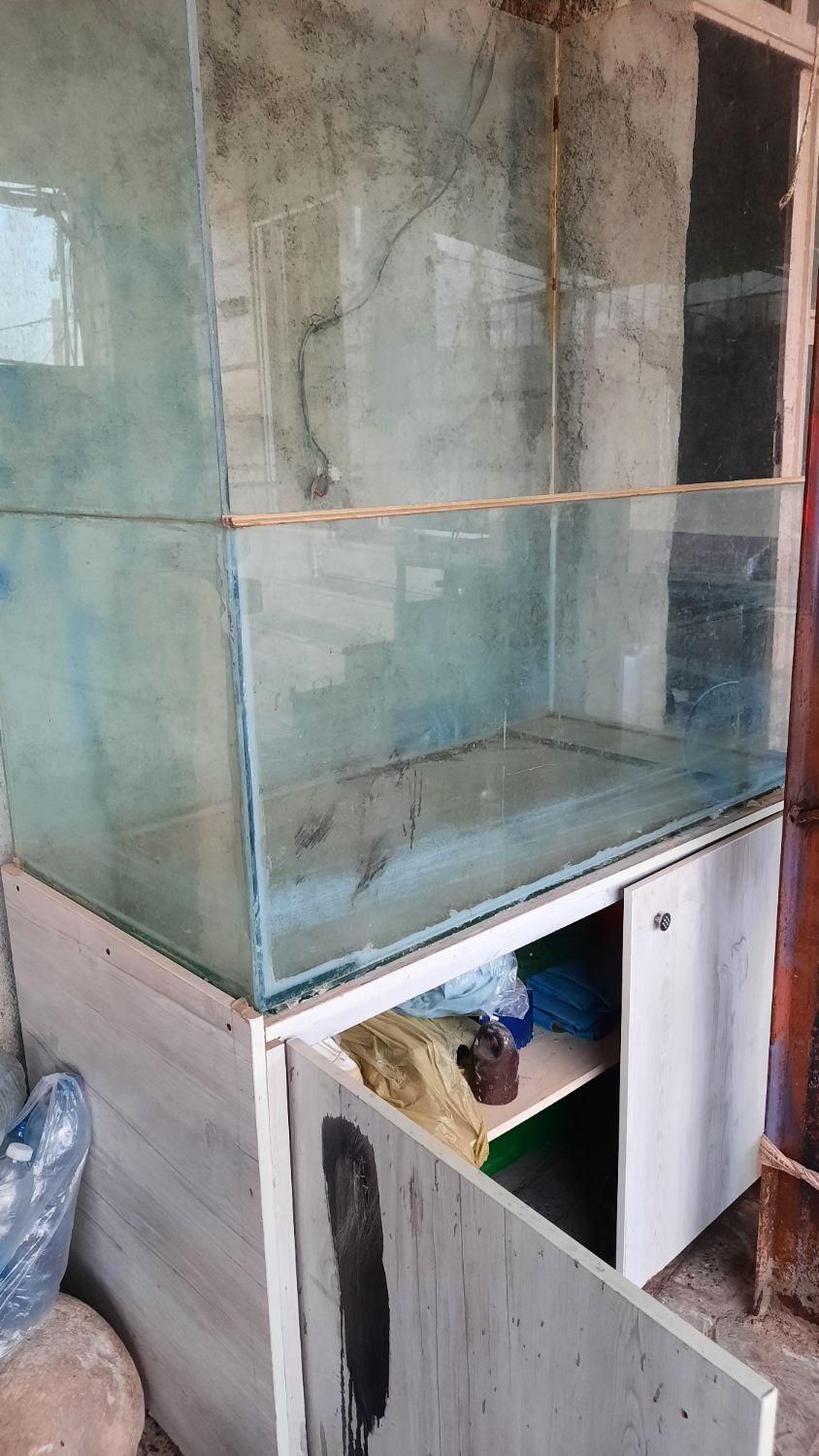 آکواریوم|ماهی|هندمینی, |دیوار