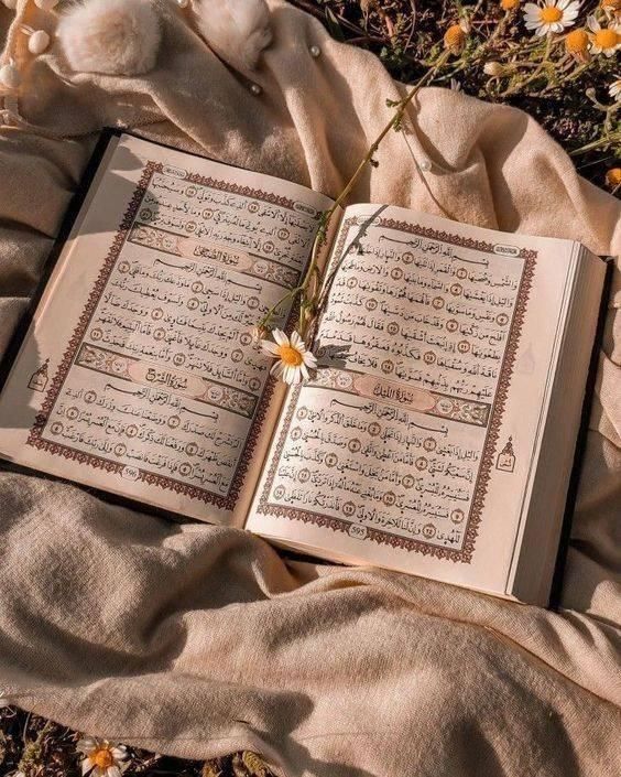 تلاوت قرآن برای آرامش روح عزیزان از دست رفته|خدمات پذیرایی، مراسم|تهران, فلسطین (میدان انقلاب)|دیوار