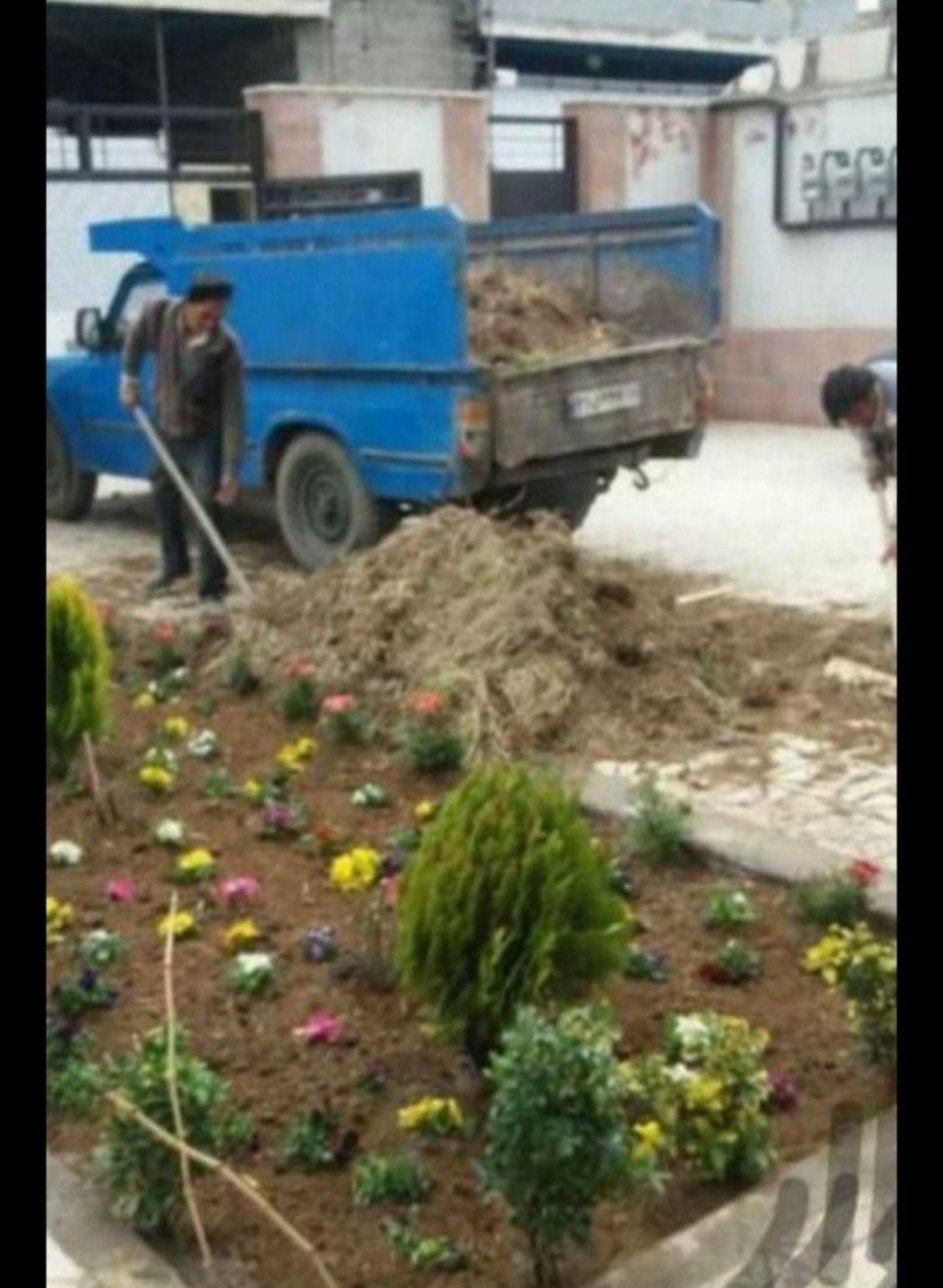باغبانی سمپاشی هرس کاری تیلرزنی در تمام نقاط مشهد|خدمات باغبانی و درختکاری|مشهد, کوثر|دیوار