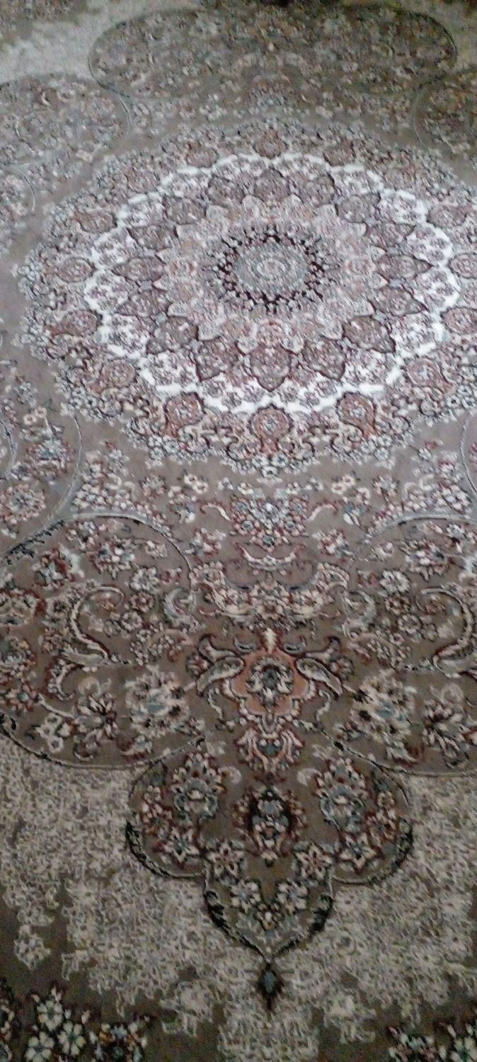 فرش ۱۲ متری|فرش|چهاردانگه (تهران), |دیوار